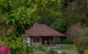 El Molino de Bonaco